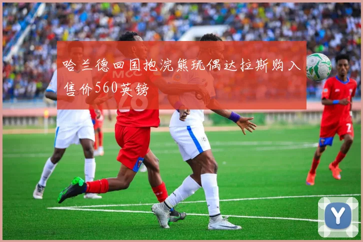 哈兰德回国抱浣熊玩偶达拉斯购入售价560英镑